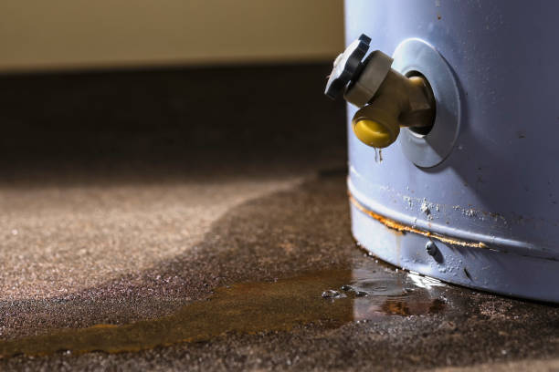 Best Fire Damage Restoration  in Bayard, NE
