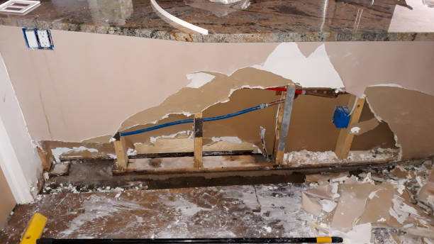 Best Basement water damage restoration  in Bayard, NE