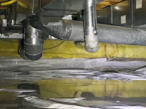 Best Water damage contractors near me  in Bayard, NE